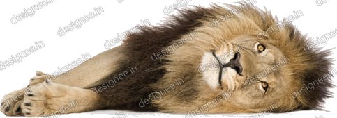 Preview of Loin 9