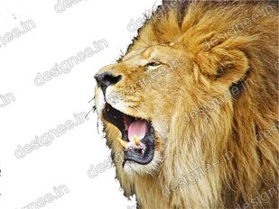 Preview of Loin 1