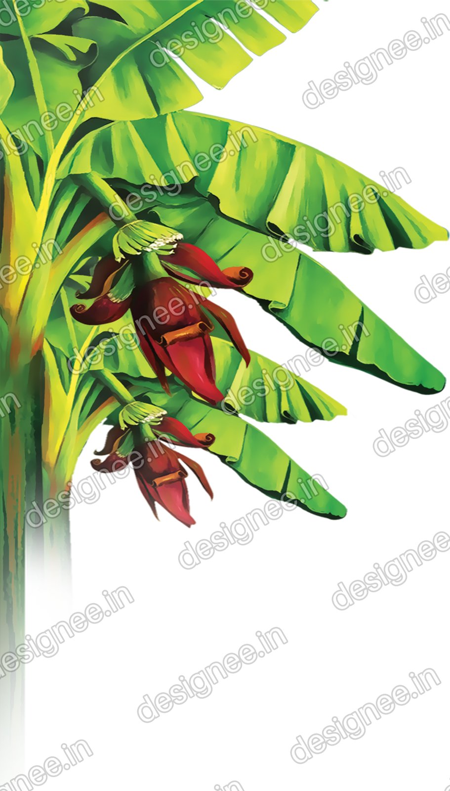 Preview of Vazhaimaram7
