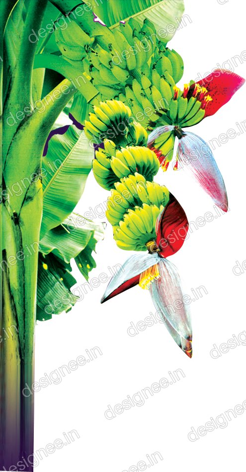 Preview of Vazhaimaram2 copy