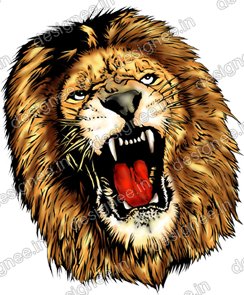 Preview of Loin 3