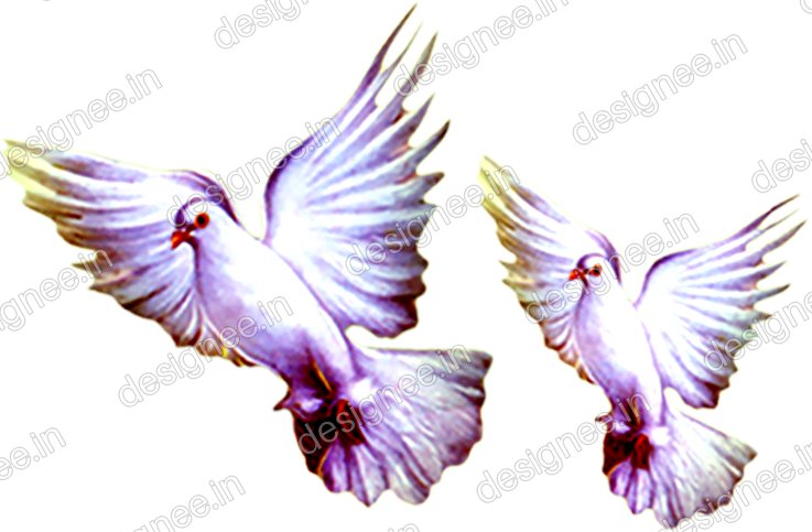 Preview of Wedding Material PNG MDE 40