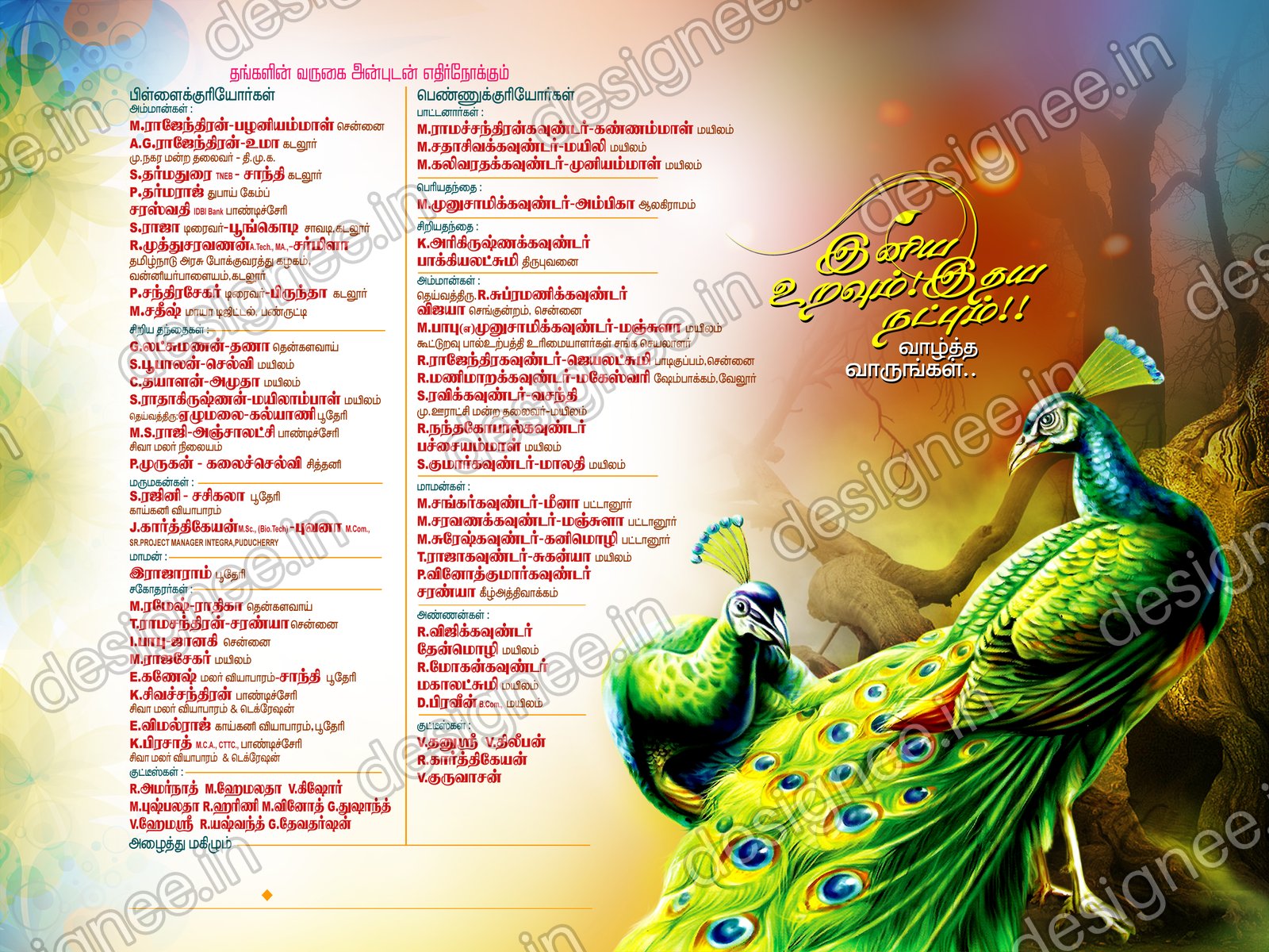 Preview of Wedding Invitation (513)