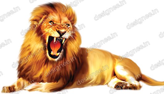Preview of Loin 14