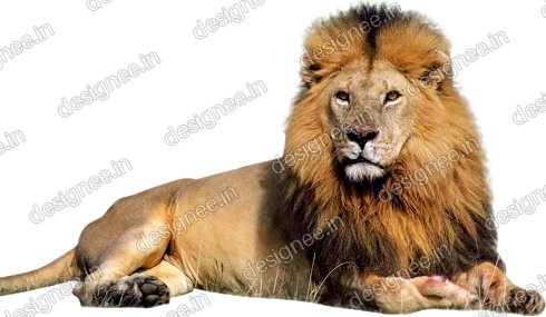 Preview of Loin 12