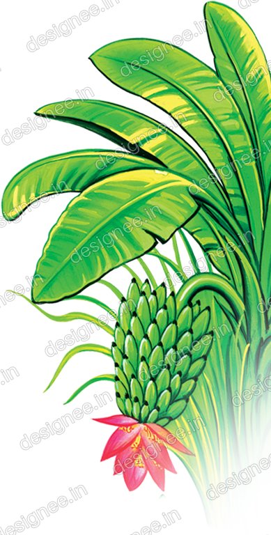 Preview of Vazhaimaram4 copy