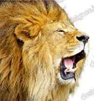 Preview of Loin 4