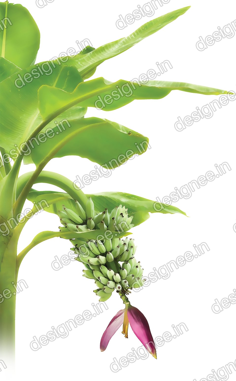 Preview of Vazhaimaram5 copy