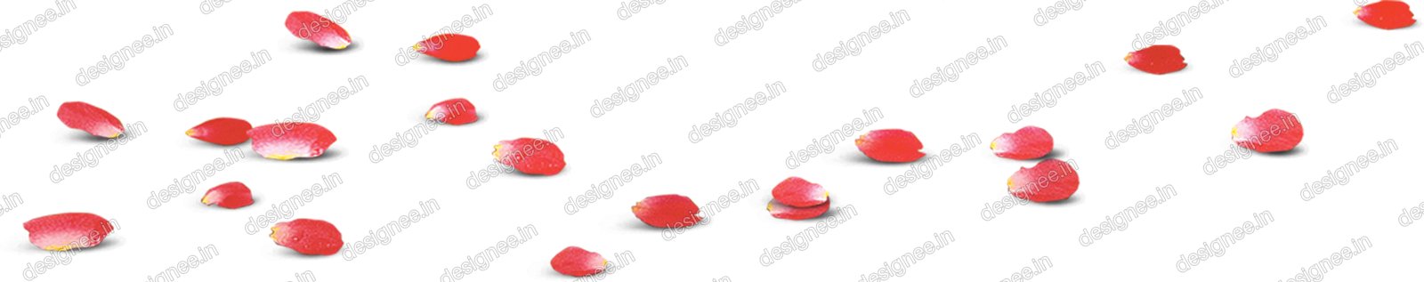 Preview of Flower1 copy