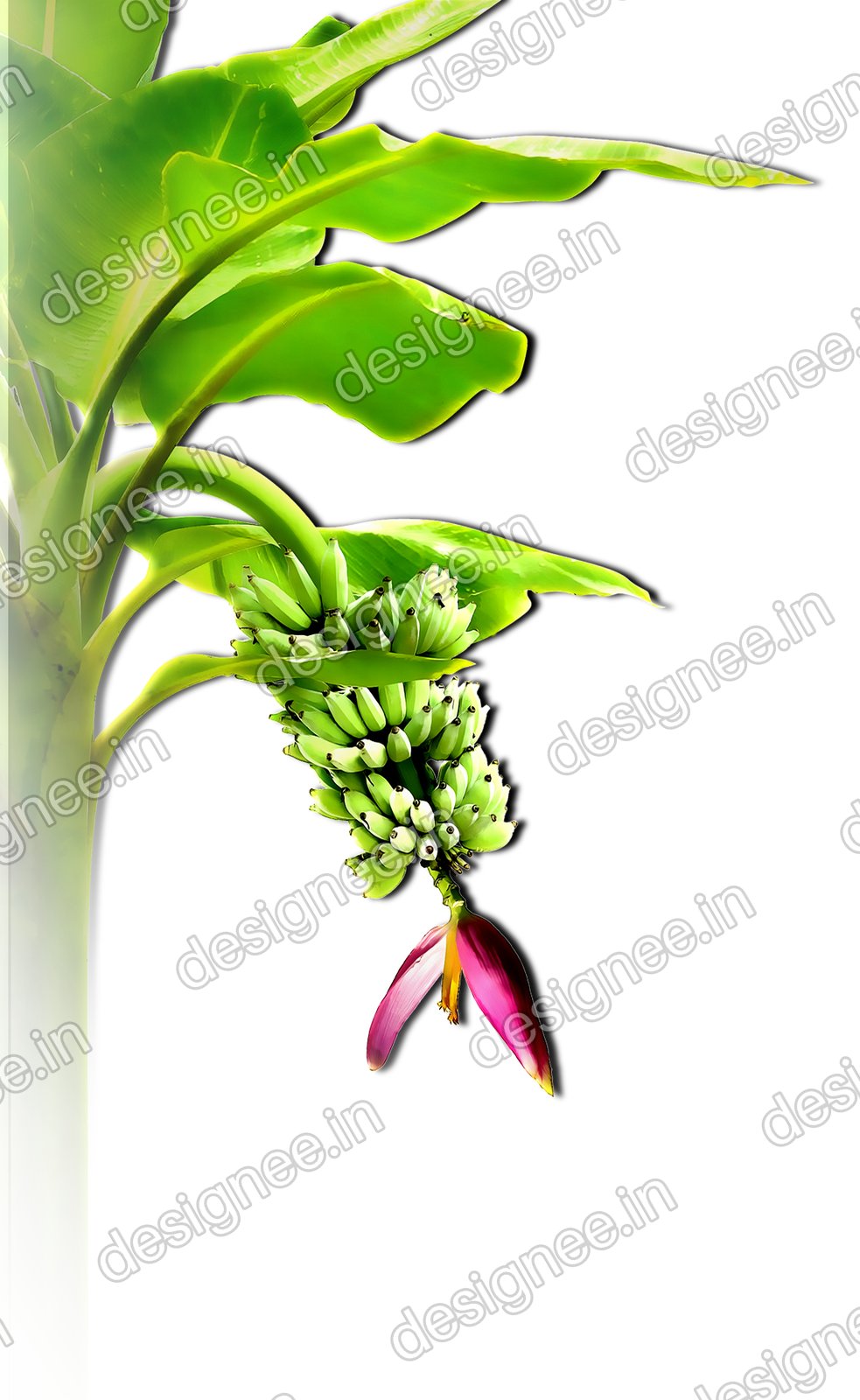 Preview of Wedding Material PNG MDE 31