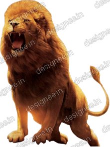 Preview of Loin 6