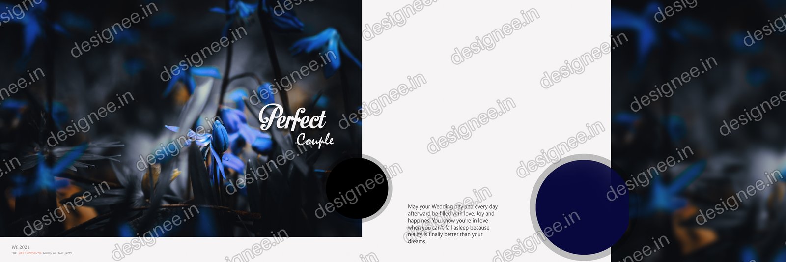 Preview of Album (311)
