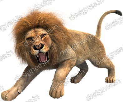 Preview of Loin 17