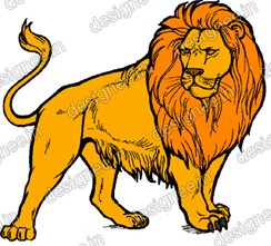 Preview of Loin 15