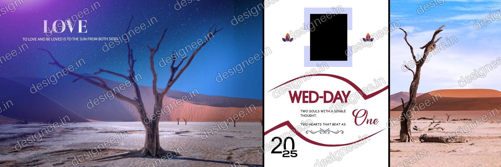 Preview of Album (12)