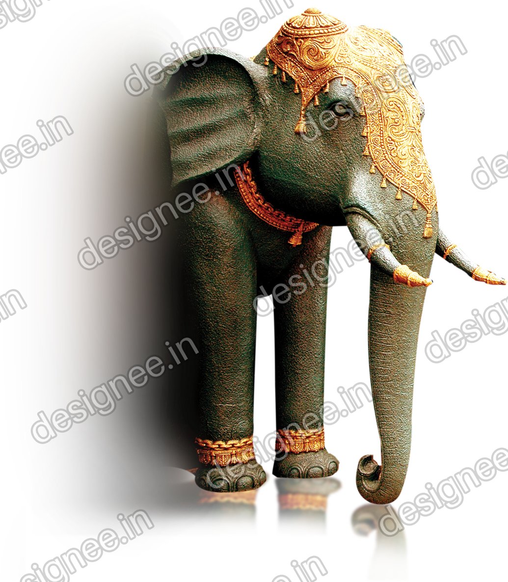 Preview of Elephant21
