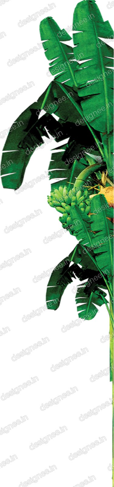 Preview of Vazhaimaram1 copy