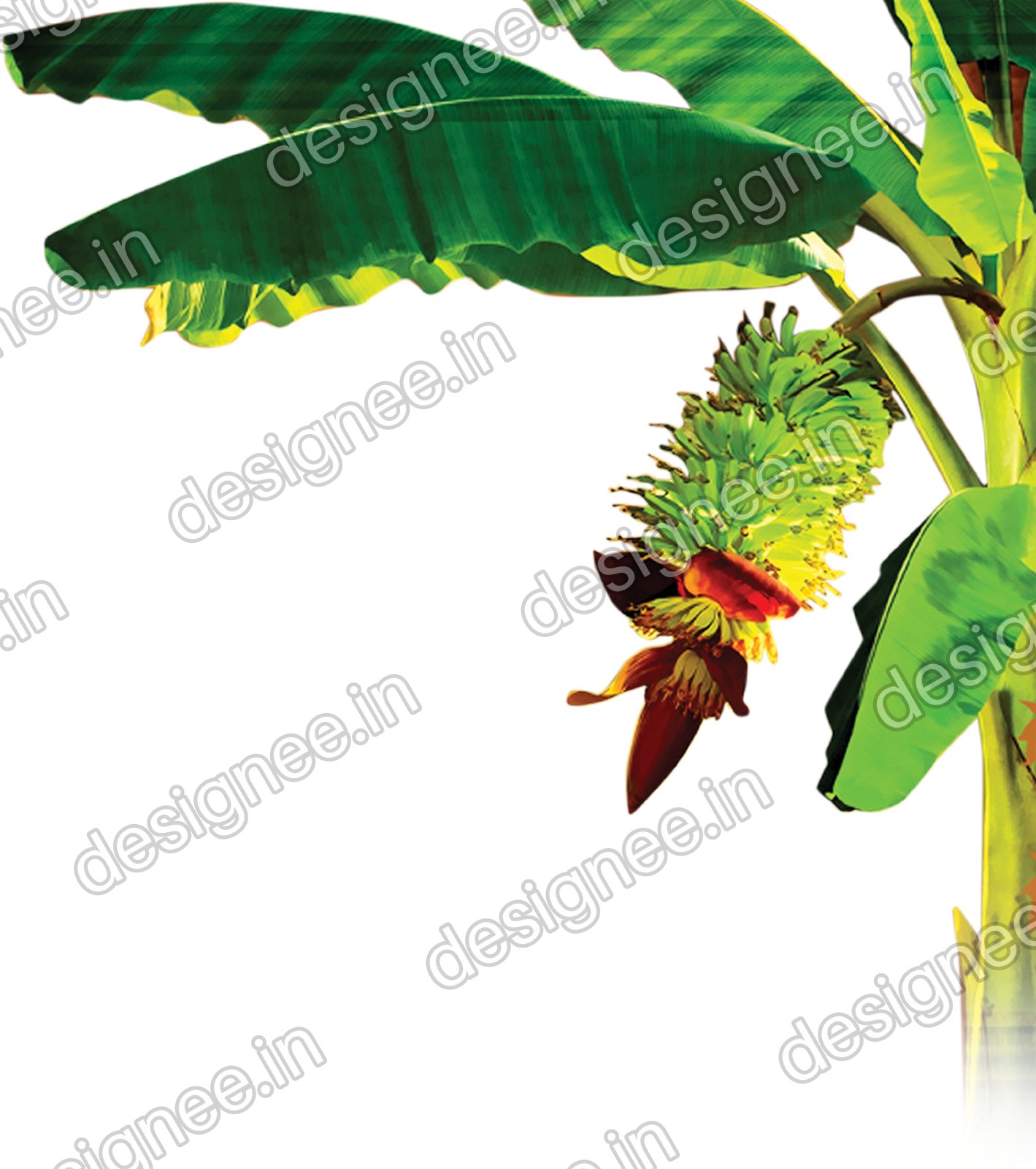 Preview of Vazhaimaram6 copy