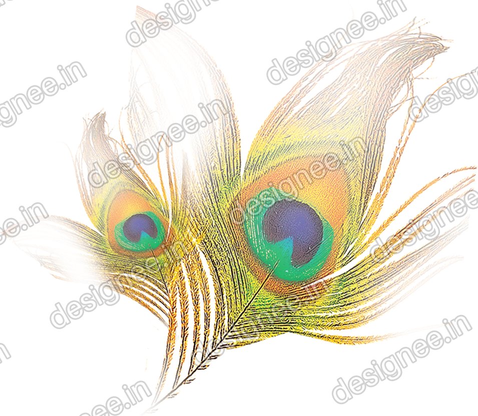 Preview of Mayil Thogai1 copy