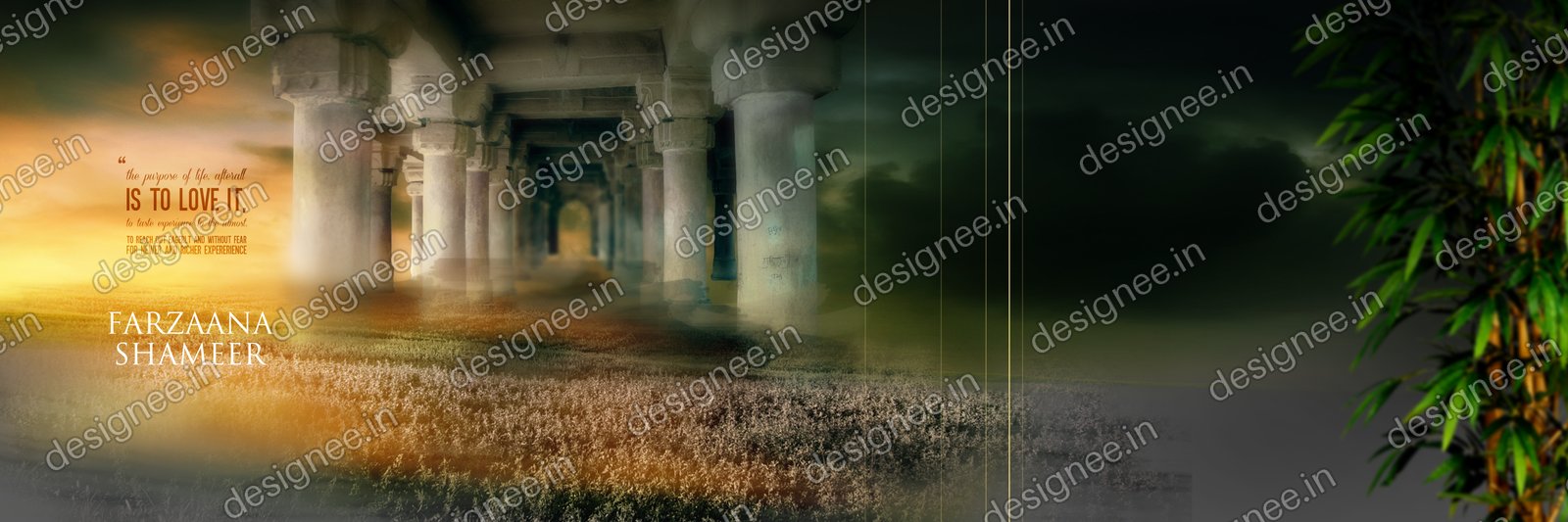 Preview of 103 Studio Backgrounds (65)