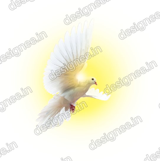 Preview of Bird
