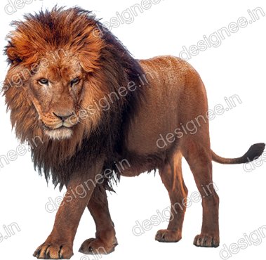 Preview of Loin 8
